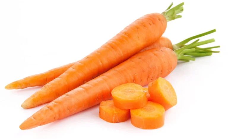 Can Belgian Malinois Eat Carrots