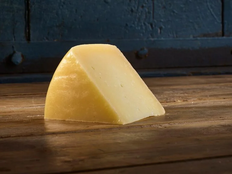 Can Belgian Malinois Eat Cheese